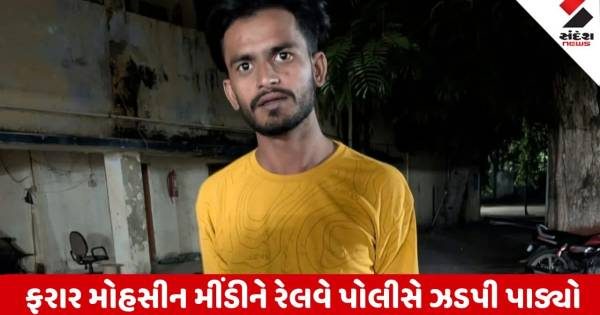 વડોદરાની સયાજી હોસ્પિટલમાંથી હાથકડી સરકાવી ફરાર થયેલો ગુજસીટોકનો આરોપી મોહસીન મીંડી ગોધરાથી ઝડપાયો