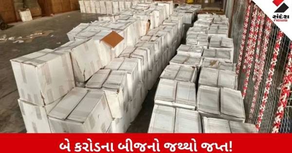 ઓપરેશન ડીપ મેનિફેસ્ટ: પાકિસ્તાનથી દુબઈ થઈને થતી બીજની ગેરકાયદે આયાત ઝડપાઈ, બે કરોડથી વધુનો મુદ્દામાલ જપ્ત
