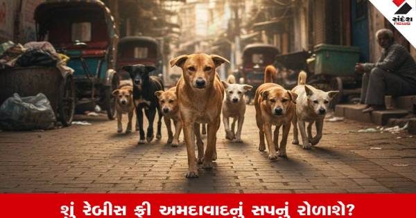 અમદાવાદમાં રખડતા શ્વાનનો આતંક યથાવત: નવ મહિનામાં કરડવાના પેસઠ હજારથી વધુ કેસ નોંધાયા