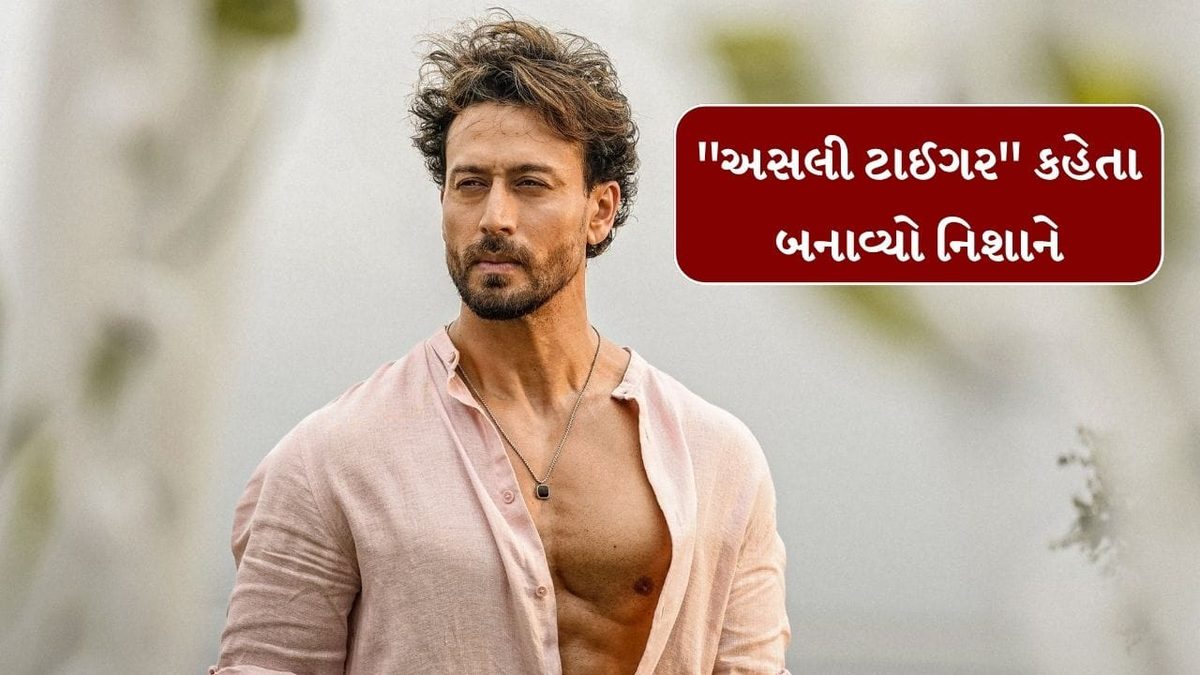બોલિવૂડ અભિનેતા પર હુમલા પ્રકરણમાં મોટો ખુલાસો, આ કારણસર બનાવ્યો હતો નિશાન
