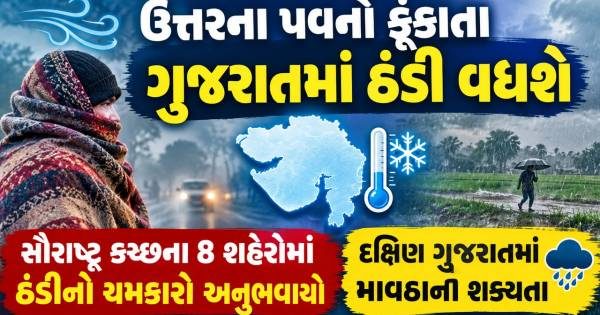ગુજરાતમાં દિવસે ગરમી તો રાત્રે ફૂલગુલાબી ઠંડીનો અનુભવ, અમરેલી બન્યું સૌથી ઠંડુ શહેર