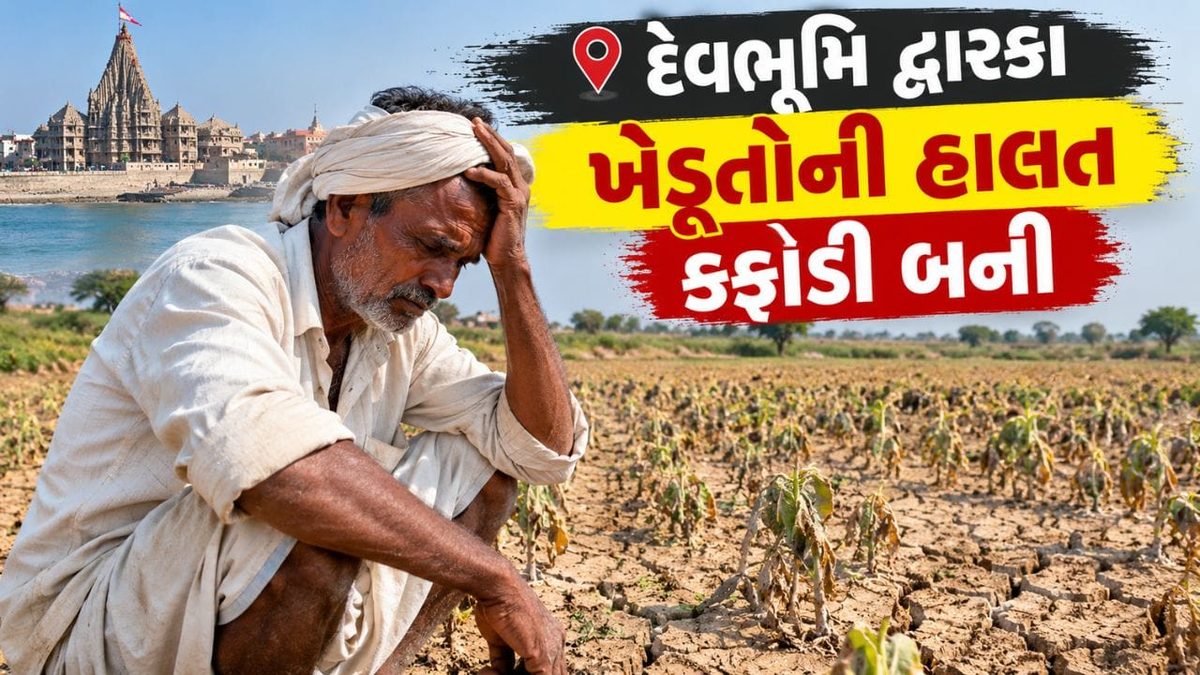 દેવભૂમિ દ્વારકા જિલ્લામાં નબળા ચોમાસાથી ખેડૂતોની કફોડી હાલત, સિંચાઈના પાણી માટે ઉગ્ર માગ
