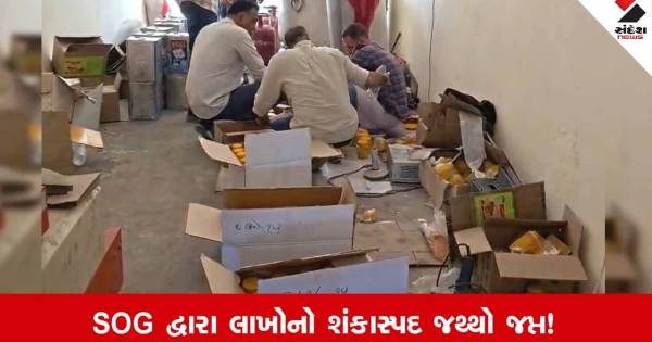 જૂનાગઢમાં માર્કેટિંગ યાર્ડ પાસે ધમધમતી નકલી ઘી બનાવતી ફેક્ટરી પર પોલીસના દરોડા, લાખો રૂપિયાનો જથ્થો જપ્ત