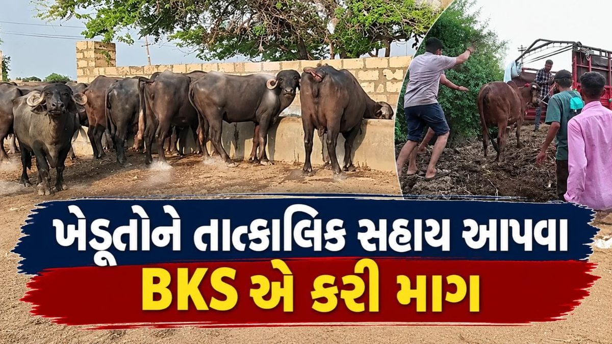 રાજ્યના અછતગ્રસ્ત વિસ્તારોમાં તાત્કાલિક સહાય જાહેર કરવાની કિસાન સંઘની માગ, ધરતીપુત્રો સરકારી સહાયની રાહ જોઈને બેઠા