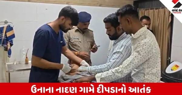 ઉનાની વાડીમાં રમતા 9 વર્ષના માસૂમને મોંમાં દબાવી ભાગ્યો દીપડો, પરિવારે જીવના જોખમે દીકરાને બચાવ્યો