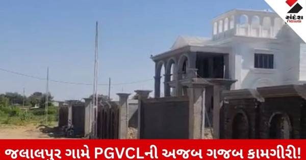 વીજ કનેક્શન કે મીટર નથી છતાં PGVCLએ મોકલ્યું લાઈટ બિલ, બોટાદના જલાલપુરનો અજબ કિસ્સો