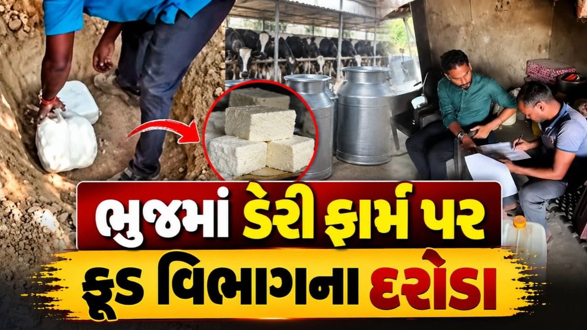 ભુજમાં ફૂડ વિભાગના ધમાકેદાર દરોડા, 699 કિલો શંકાસ્પદ પનીરનો નાશ કરીને સેમ્પલ લેબમાં મોકલાયા