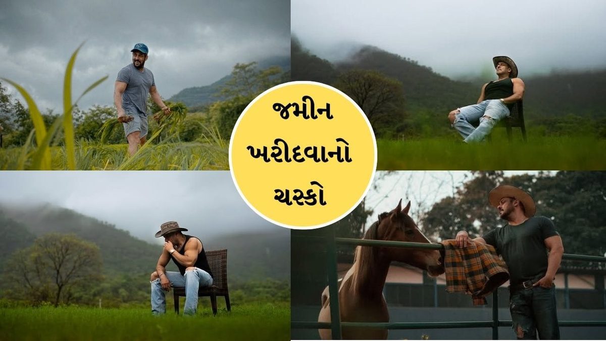 સેલિબ્રિટીઓને કેમ લાગ્યો જમીન ખરીદવાનો ચસ્કો, ખેતીની જમીન પાછળનું મોટું ‘ટેક્સ સીક્રેટ’ જાણીને ચોંકી જશો