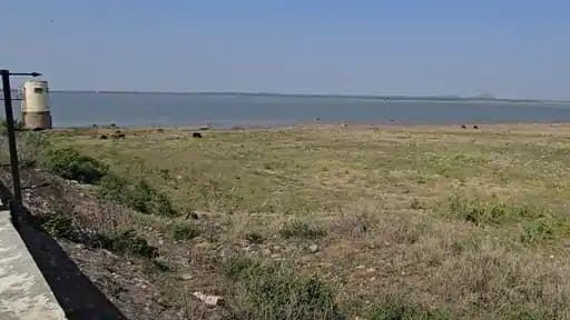 ગીર સોમનાથમાં અડધો વરસાદ પડતા જ ખેડૂતોની ચિંતા વધી, જળસંકટના એંધાણ