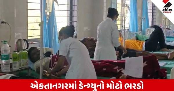 સ્ટેચ્યૂ ઓફ યુનિટી પરેડ પહેલા ડેન્ગ્યુનો પંજો, આસામથી આવેલા 21 જવાનો પોઝિટિવ