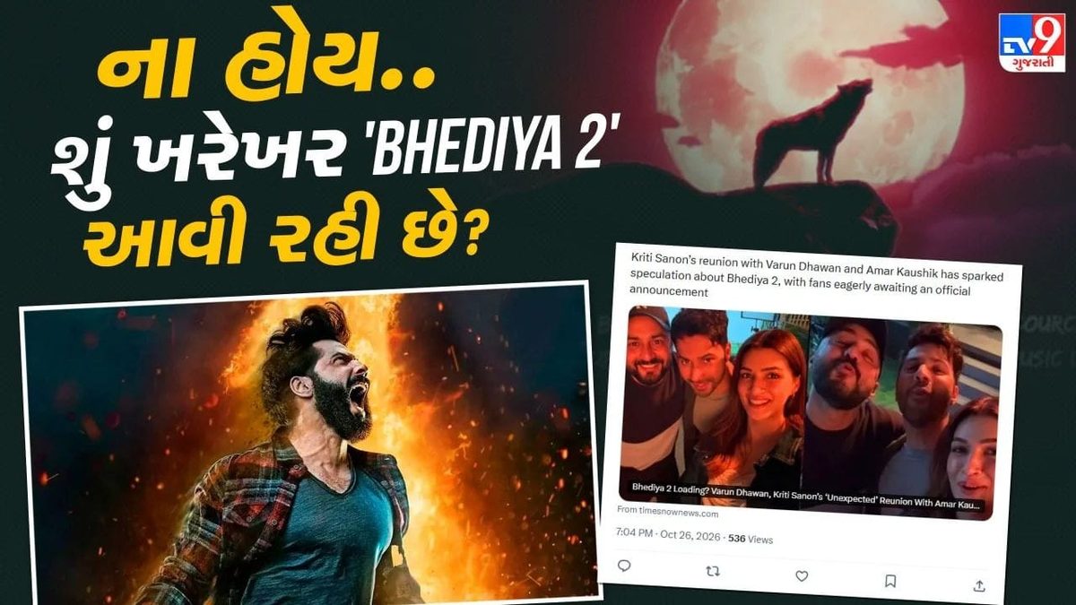 ના હોય.. શું ખરેખર ભેડિયા 2 આવી રહી છે ? વરુણ અને કૃતિ સેનનની સરપ્રાઈઝ મુલાકાતથી સસ્પેન્સ વધ્યું