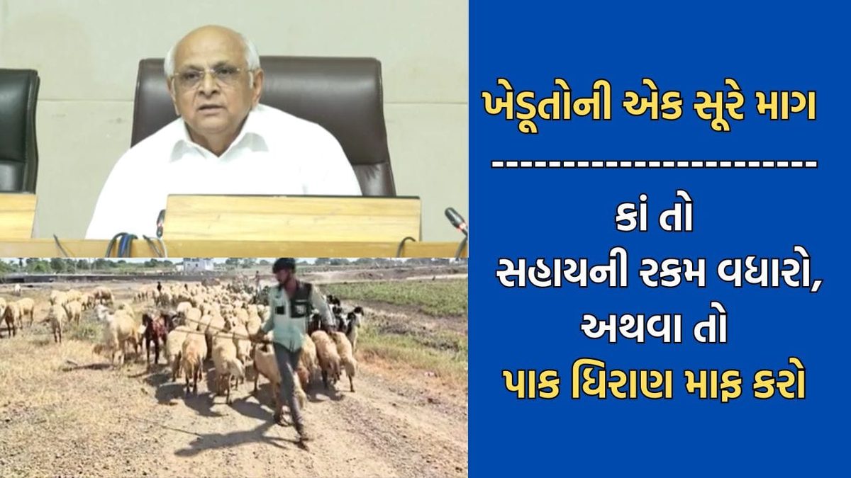 સરકારની સહાય સાવ મામૂલી છે, કાં તો પાક ધિરાણ માફ કરો અથવા વિઘે ₹20,000 સહાય આપો: ધરતીપુત્રોનો રોષ
