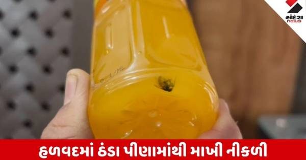 મોરબીના હળવદમાં ઠંડા પીણાની સીલબંધ બોટલમાંથી નીકળી મરેલી માખી, ડોક્ટર ચોંકી ઉઠ્યા