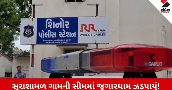 વડોદરાના શિનોરમાં જુગારધામ પર LCBની રેડ, 5 ઝડપાયા પણ મોટા માથાઓ સામે સવાલો
