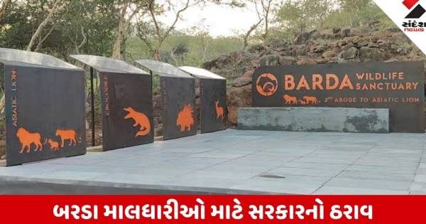 બરડા અભયારણ્યમાંથી સ્વૈચ્છિક સ્થળાંતર કરનાર માલધારીઓને સરકાર આપશે 15 લાખની સહાય
