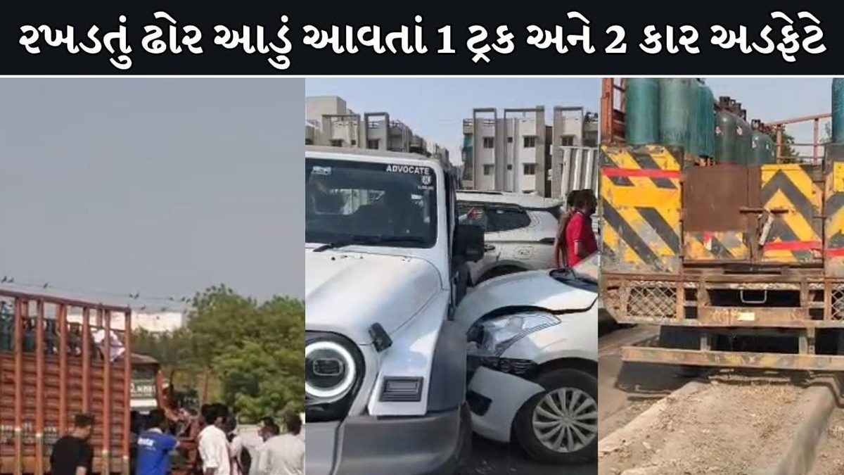 કલોલના બોરીસણા બ્રિજ પર રખડતા ઢોરને કારણે મોટો અકસ્માત, સિલિન્ડર ભરેલી ટ્રક અને 2 કાર ટકરાઈ