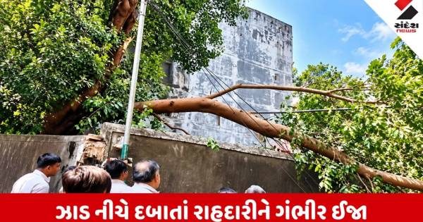 સુરતના વરાછામાં અચાનક તોતિંગ ઝાડ ધરાશાયી થતાં દોડધામ, 1 રાહદારી ઇજાગ્રસ્ત