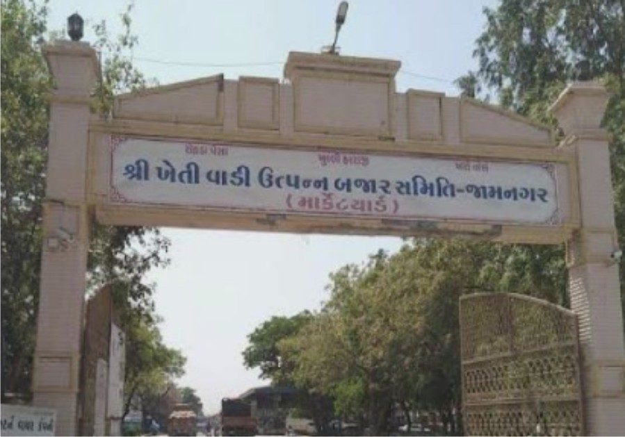 જામનગર માર્કેટ યાર્ડમાં તામીલનાડુના વેપારીઓનો જમાવડો, ખેડૂતોને મળી રહ્યા છે મગફળીના મજબૂત ભાવ