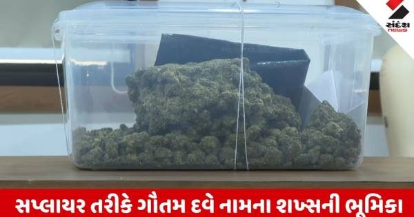 રાજકોટના યોગીનગરમાંથી રૂ. 23.80 લાખનો હાઈબ્રિડ ગાંજો ઝડપાયો, મહિલાની ધરપકડ