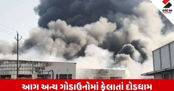 વલસાડના ઉમરગામમાં ખાનગી કંપનીઓના ગોડાઉનમાં ભીષણ આગ, દૂર સુધી દેખાયા કાળા ધુમાડાના ગોટેગોટા