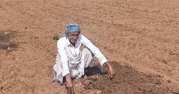 અરવલ્લી અને સાબરકાંઠા દુષ્કાળગ્રસ્ત જાહેર ન થતા ખેડૂતોમાં રોષ, વીઘે રૂ.25 હજાર સહાયની માંગ