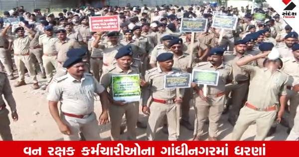 ગાંધીનગરના સત્યાગ્રહ છાવણી ખાતે વન રક્ષકોના ધરણાં, ગ્રેડ પે અને પ્રમોશન સહિતની માંગણીઓ સાથે ઉગ્ર વિરોધ