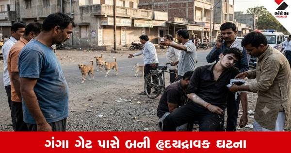 રાજકોટના શાપરમાં રખડતા શ્વાનનો આતંક, બચકાથી ગંભીર રીતે ઇજાગ્રસ્ત યુવકનું સારવાર દરમિયાન કરૂણ મોત