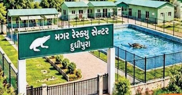 સોજિત્રાના દૂધીપુરામાં બનશે રાજ્યનું પ્રથમ મગરો માટેનું 50 લાખના ખર્ચે રેસ્ક્યૂ સેન્ટર