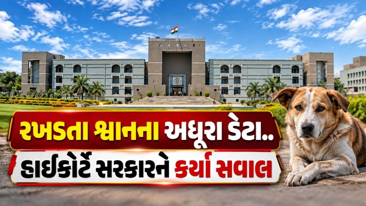 રખડતા શ્વાનના ડેટા મુદ્દે ગુજરાત હાઈકોર્ટે સરકારને ઝાટક્યા, પૂછ્યા તીખા સવાલ