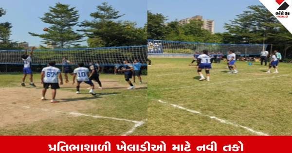 અમદાવાદના બોપલ ખાતે વોલીજા સિઝન 5 નો ધમાકેદાર પ્રારંભ, 20 શાળાઓની 30 ટીમો મેદાને ઉતરી