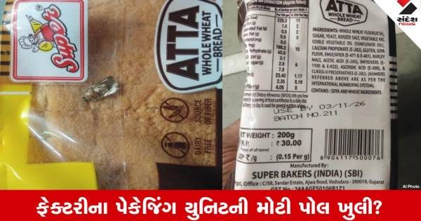 વડોદરાના તાંદલજામાં સુપર બેકર્સની બ્રેડના પેકેટમાંથી માખી નીકળતા ચકચાર