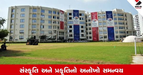 અમદાવાદની D.A.V. સ્કૂલમાં ભવ્ય એકાવન કુંડી યજ્ઞ-હવન, 51 ઔષધીય વનસ્પતિઓથી મહેકી ઉઠી શાળા