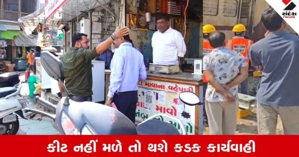 અમદાવાદના કાલુપુર માવા બજારમાં AMC ના ધામા, ચેકિંગ દરમિયાન એકપણ વેપારી પાસે રેપિડ કીટ ન નીકળી