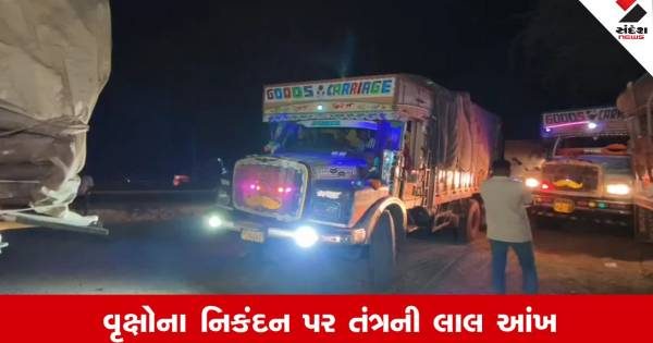 ખેડામાં બેફામ વૃક્ષછેદનનો પર્દાફાશ, રાતના અંધારામાં 100 ટ્રક અને 500 ટ્રેક્ટરોમાં લાકડાની હેરાફેરી