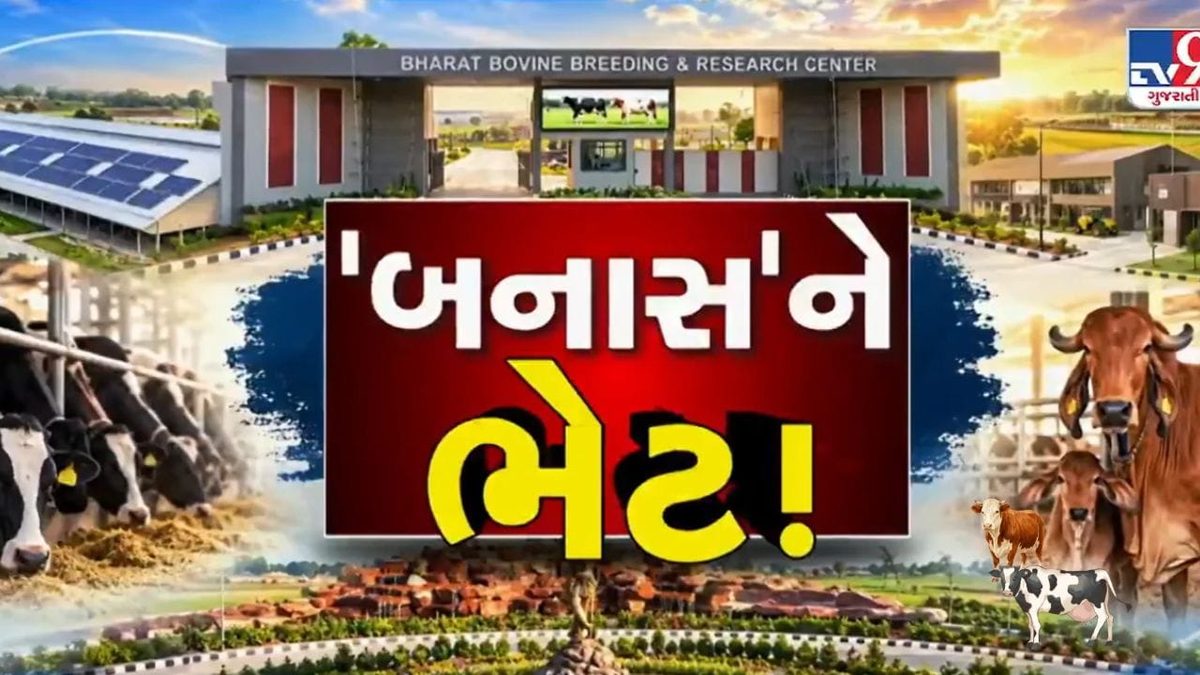 બનાસકાંઠાના ભીલડીમાં તૈયાર થયું અત્યાધુનિક પશુ સંવર્ધન કેન્દ્ર, IVF ટેકનોલોજીથી પશુપાલન ક્ષેત્રે આવશે ક્રાંતિ
