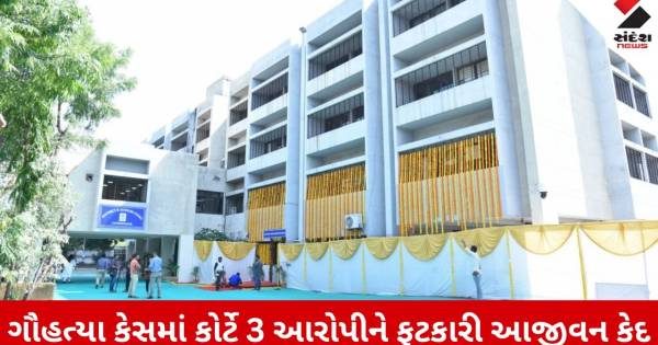 ગાંધીનગરના કલોલમાં ગૌહત્યા કેસમાં કોર્ટનો ઐતિહાસિક ચુકાદો, ૩ આરોપીઓને આજીવન કેદ અને દંડ