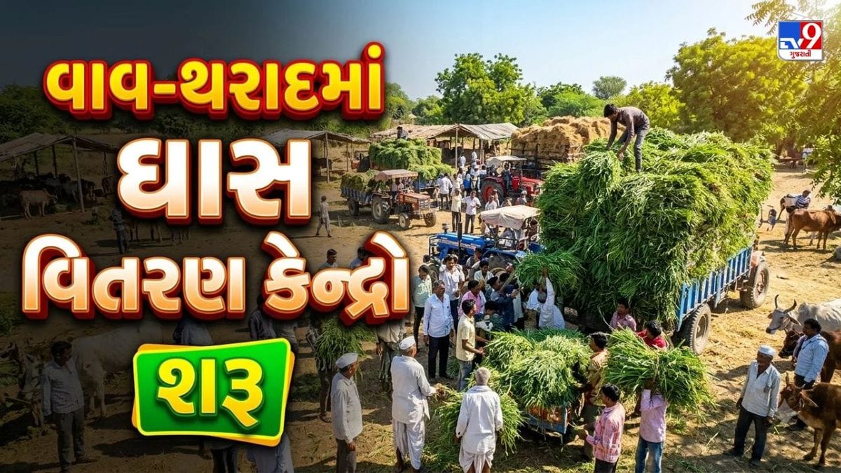 વાવ-થરાદમાં પશુપાલકો માટે રાહતના સમાચાર, હવે માત્ર રૂ. 2 માં મળશે ઘાસચારો