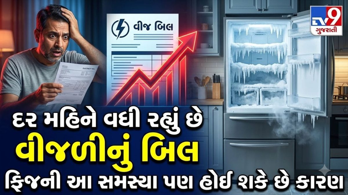ફ્રિજમાં જમા થયેલા બરફના થરને કરો છો નજરઅંદાજ? દર મહિને આટલા રૂપિયા વધી શકે છે વીજળીનું બિલ!