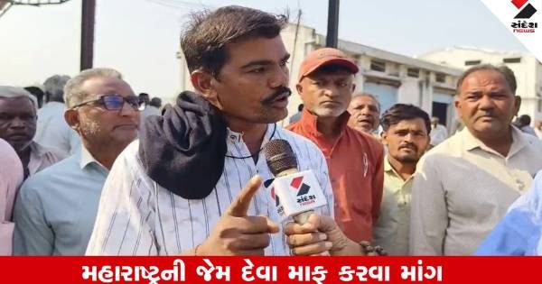 અમરેલીના ખેડૂતો મુશ્કેલીમાં: બેંક અને મંડળીના દેવાથી પરેશાન અન્નદાતાઓની દેવા માફી માટે સરકાર સામે ઉગ્ર માગ