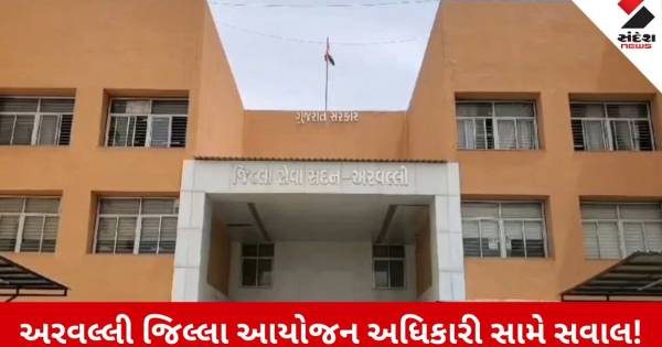 Aravalli News: જિલ્લા આયોજન અધિકારી શશાંક પાંડે મુશ્કેલીમાં, ગ્રાન્ટ ન વપરાતા કલેક્ટરે આપ્યા તપાસના આદેશ