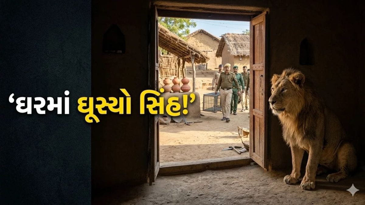 અમરેલીના ખાંભામાં વહેલી સવારે સિંહ ઘરમાં ઘૂસ્યો, કલાકો સુધી ઓરડામાં બેસી રહેતા વન વિભાગે સફળ રેસ્ક્યૂ કર્યું