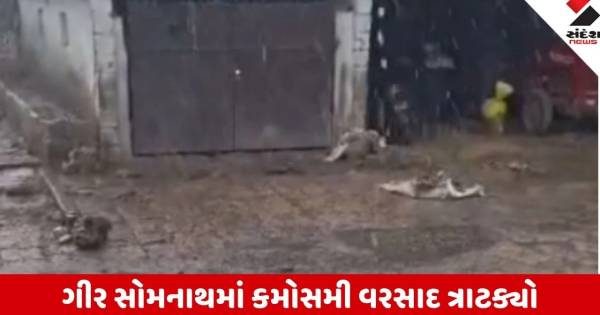 ગીર સોમનાથના કોડીનારમાં કમોસમી વરસાદથી મગફળીનો પાક પલળ્યો, ખેડૂતો ચિંતિત
