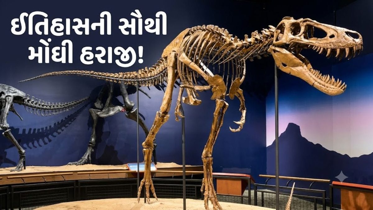 ન્યૂ યોર્કની હરાજીમાં ડાયનાસોરના દુર્લભ કંકાલ ‘જોડી’એ તોડ્યા તમામ રેકોર્ડ, ૪૫૦ કરોડ રૂપિયામાં વેચાયું