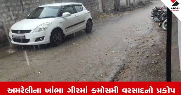 અમરેલીના ખાંભા ગીરમાં માવઠાનો કહેર: કમોસમી વરસાદ અને તેજ પવનોથી ખેડૂતોના મોંમાં આવેલો કોળિયો છીનવાયો