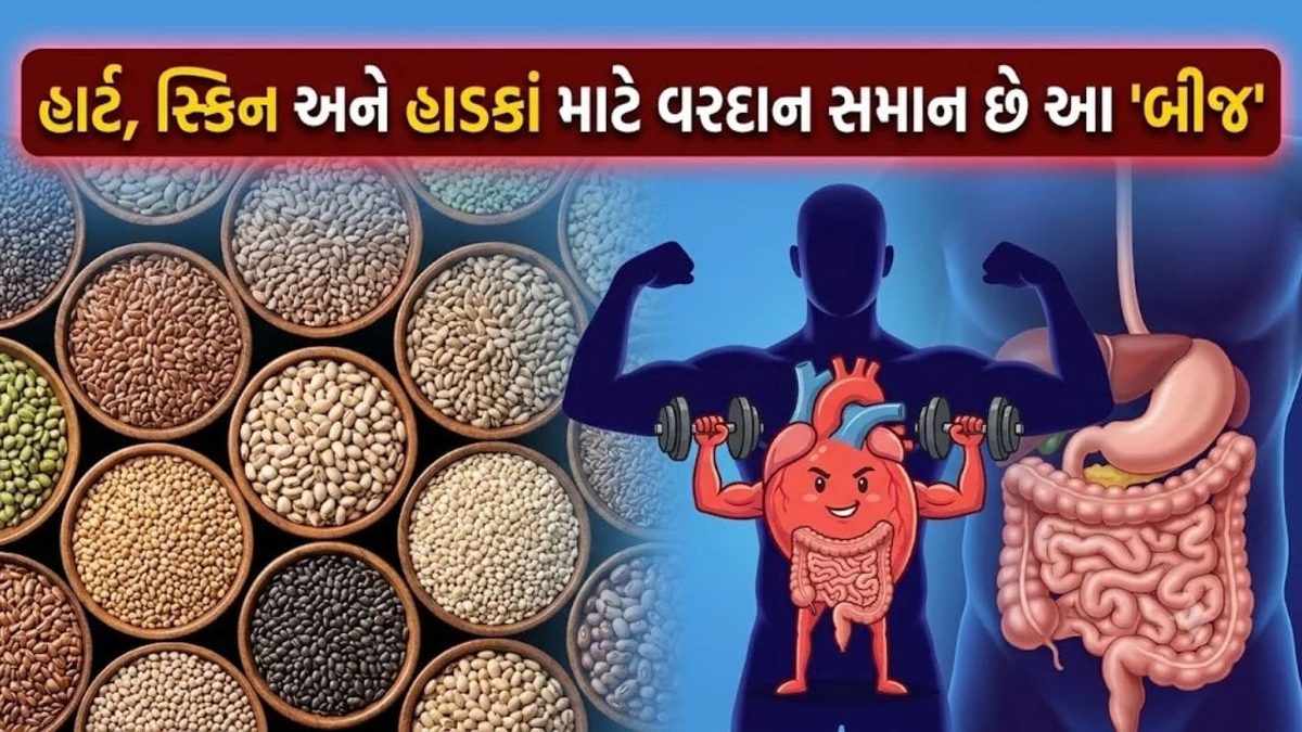 ખરાબ કોલેસ્ટ્રોલ અને પાચન સહિત અનેક સમસ્યાઓનું રામબાણ ઈલાજ છે આ ત્રણ પૌષ્ટિક સીડ્સ