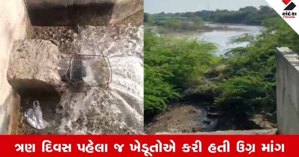 પાટણના રખાવ ગામના સૂકા તળાવમાં પાણી આવતા ખેડૂતોમાં ખુશીની લહેર, રવિ પાકને મળ્યું નવજીવન