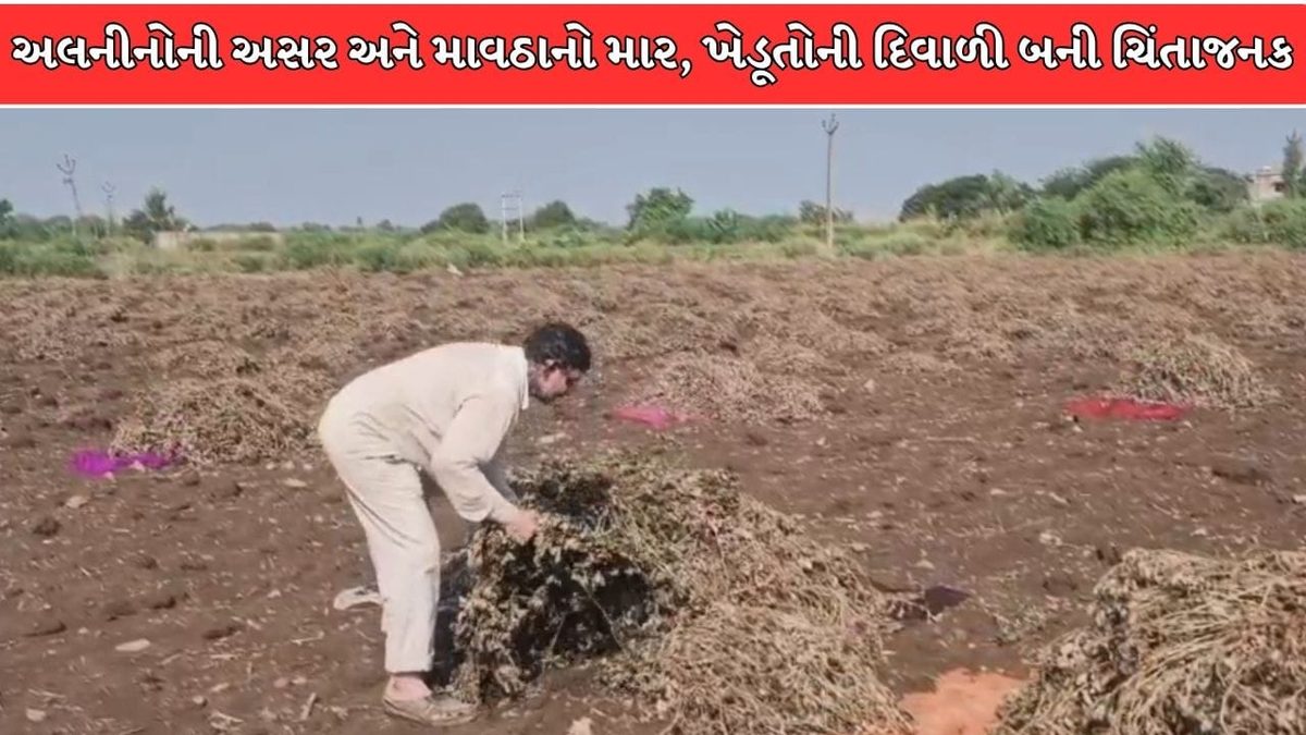 ગીર સોમનાથમાં કમોસમી વરસાદનો આફતરૂપ સપાટો: દિવાળી ટાંકણે જ ખેડૂતોના હાથમાંથી મોંમાં આવેલો કોળિયો છીનવાયો