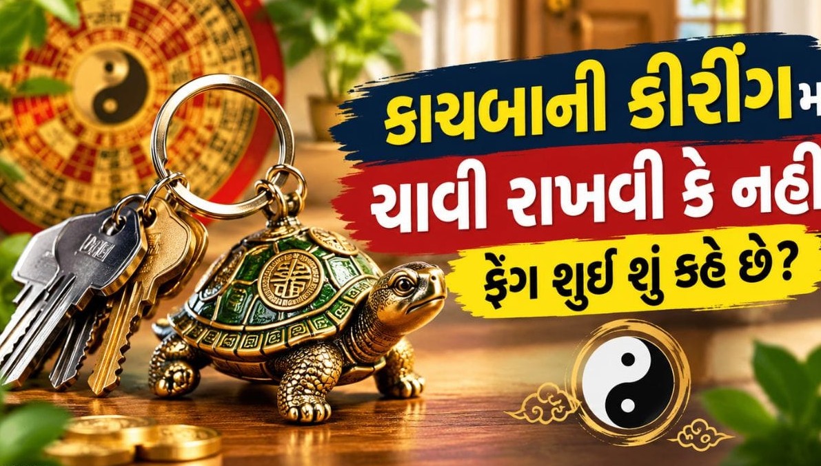 કાચબાવાળી ચાવીની રીંગ રાખવી કેટલી શુભ? જાણો ફેંગશુઈ અનુસાર તેના નિયમો અને મહત્વ