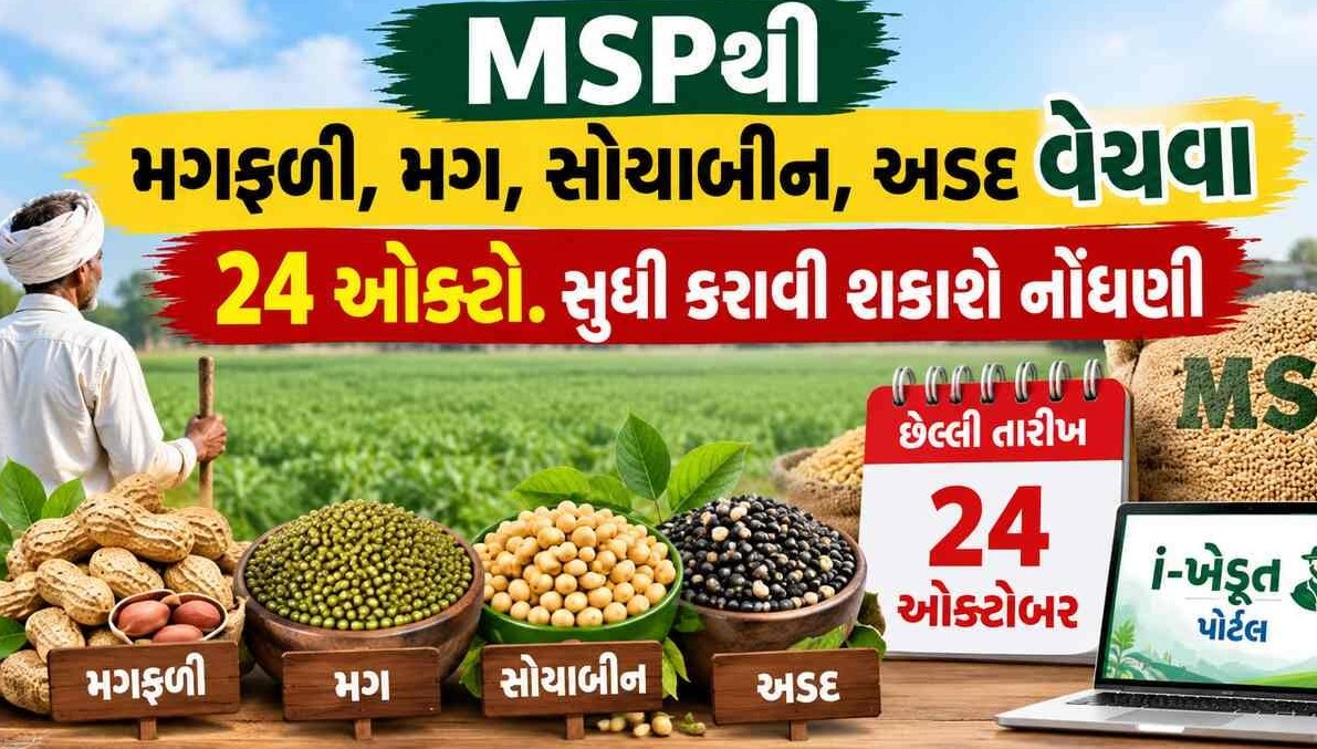 ટેકાના ભાવે ખરીફ પાક વેચવા ખેડૂતો હવે ૨૪ ઓક્ટોબર સુધી કરાવી શકશે નોંધણી, મુદતમાં ૧૫ દિવસનો વધારો