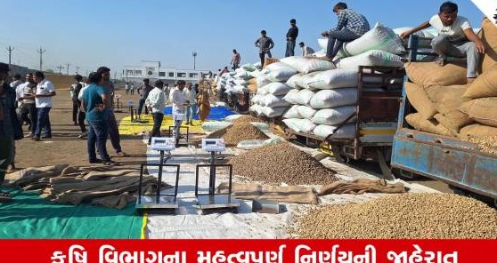 રાજ્યના ખેડૂતો માટે મોટા રાહતના સમાચાર: ટેકાના ભાવે ખરીદીની ઓનલાઇન નોંધણી મુદતમાં ૧૫ દિવસનો વધારો